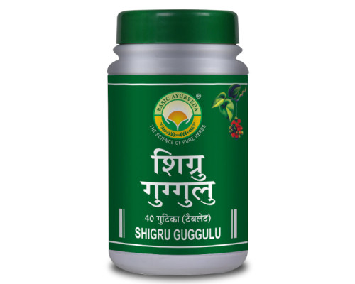 Шигру Гуггул Бейзік Аюрведа (Shigru Guggul Basic Ayurveda), 40 таблеток