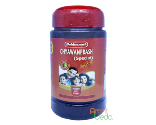Chyawanprash Special Baidyanath, 500 grams