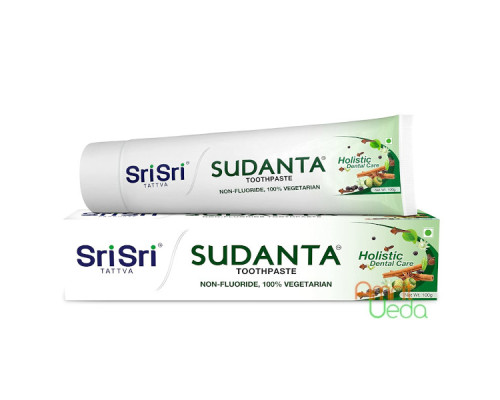 Зубная паста Суданта Шри Шри Таттва (Toothpaste Sudanta Sri Sri Tattva), 100 грамм