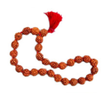 Rudraksha bracelet, 27 beads